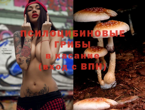 прущая мука Нея