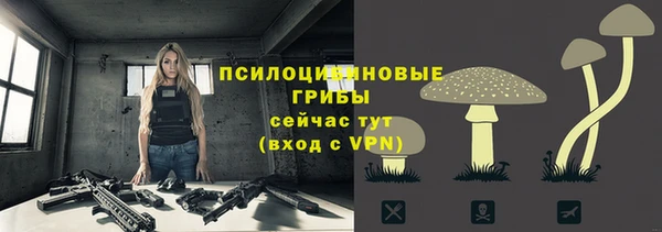 скорость mdpv Бежецк