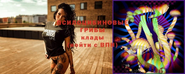 шишки Наволоки