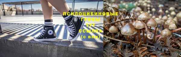 прущая мука Нея