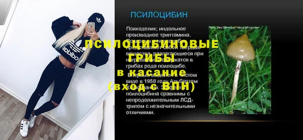 прущая мука Нея